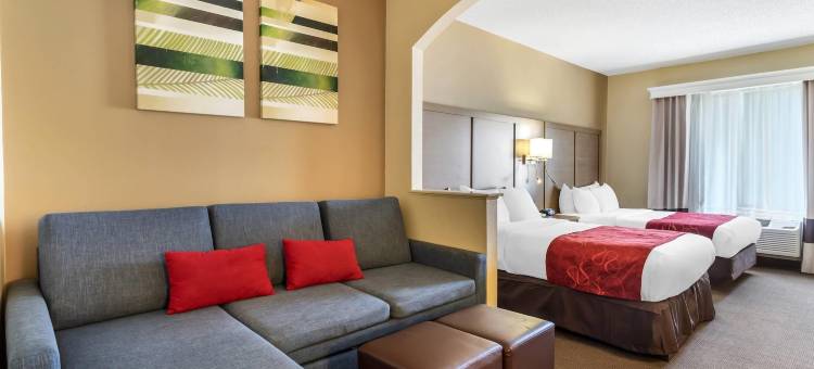 康福特套房布什洲际机场酒店(Comfort Suites Bush InterContinental Airport)图片