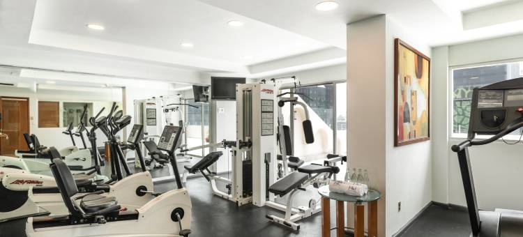 欧洲之星酒店(Eurostars Zona Rosa Suites)图片