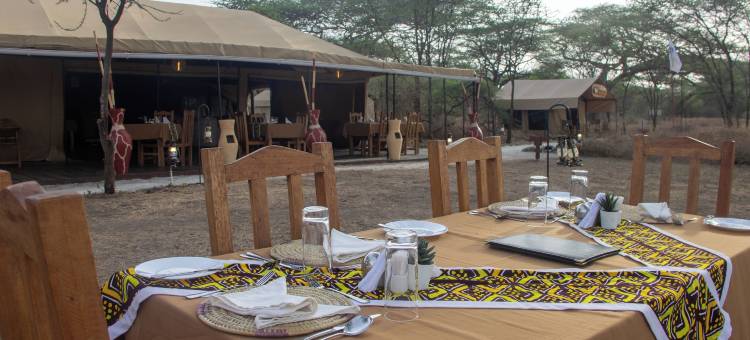 非洲狩猎度假屋塞伦盖蒂库西尼(Africa Safari Serengeti Kusini)图片