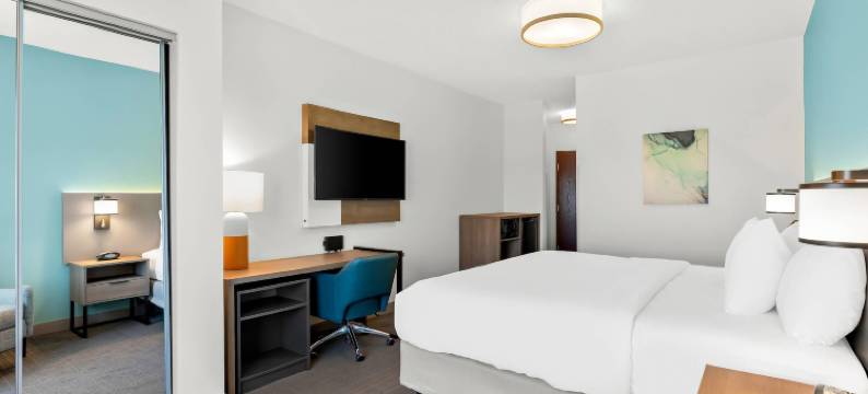 舒适套房酒店(Comfort Inn & Suites)图片