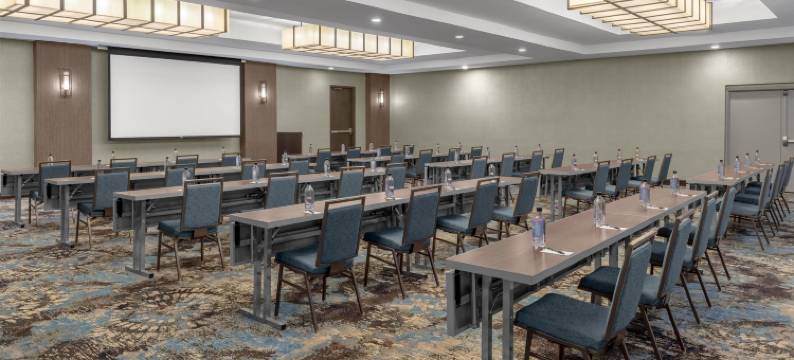 拉伯克大学区希尔顿逸林酒店(DoubleTree by Hilton Lubbock University Area)图片
