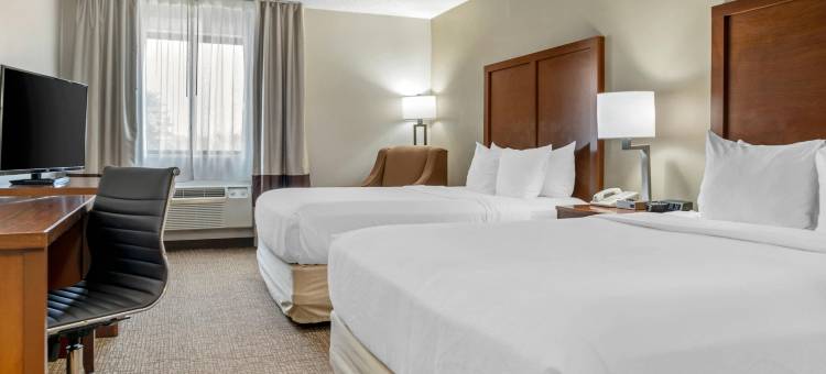 舒适旅馆(Comfort Inn)图片