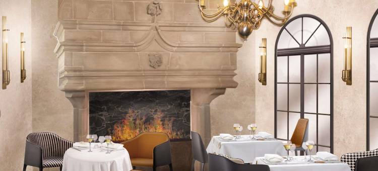 美居菲雅克维吉埃杜罗伊酒店(Hôtel Mercure Figeac Viguier du Roy)图片