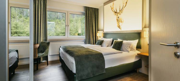 厄热塔尔瓦尔德酒店(Waldhotel Ehrental)图片