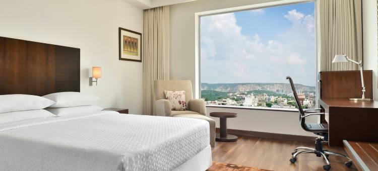 齐普尔市广场福朋喜来登酒店(Four Points by Sheraton Jaipur, City Square)图片