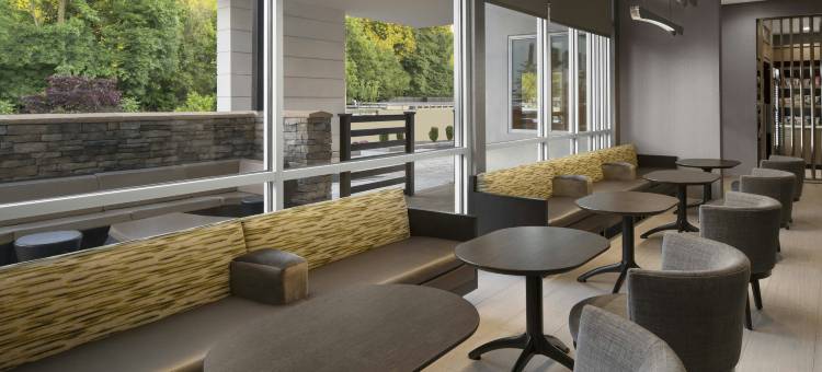 塔什霍韦斯特切斯特县万豪SpringHill Suites酒店(SpringHill Suites Tuckahoe Westchester County)图片