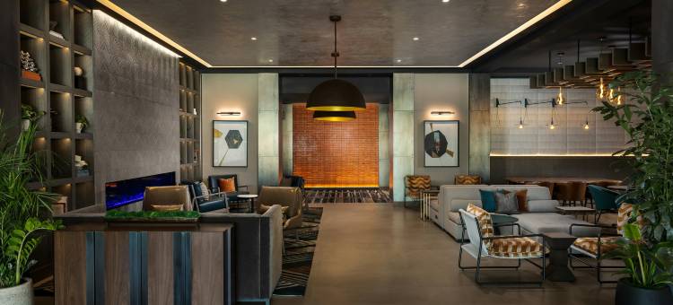Hotel Avail 罗吉斯, 希尔顿锦绣系列(Hotel Avail Rogers, Tapestry Collection by Hilton)图片