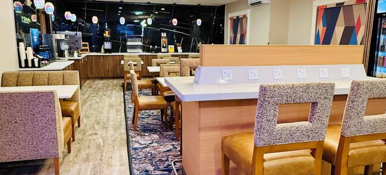 摩根城拉昆塔温德姆套房酒店(La Quinta Inn & Suites by Wyndham Morgan City)图片