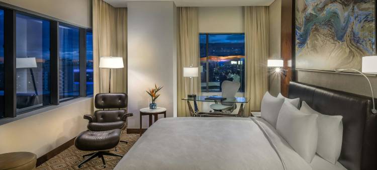 圣多明戈JW万豪酒店(JW Marriott Hotel Santo Domingo)图片