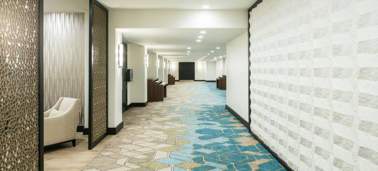 加勒比希尔顿酒店(Caribe Hilton)图片