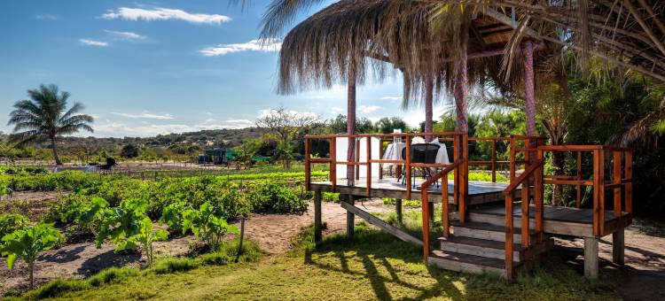 巴扎鲁托岛安纳塔拉度假酒店(Anantara Bazaruto Island Resort)图片