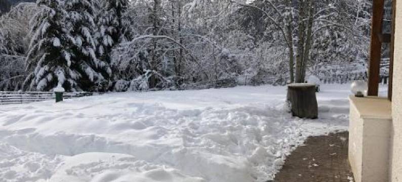 Eco Chalet Nonno Silvano图片