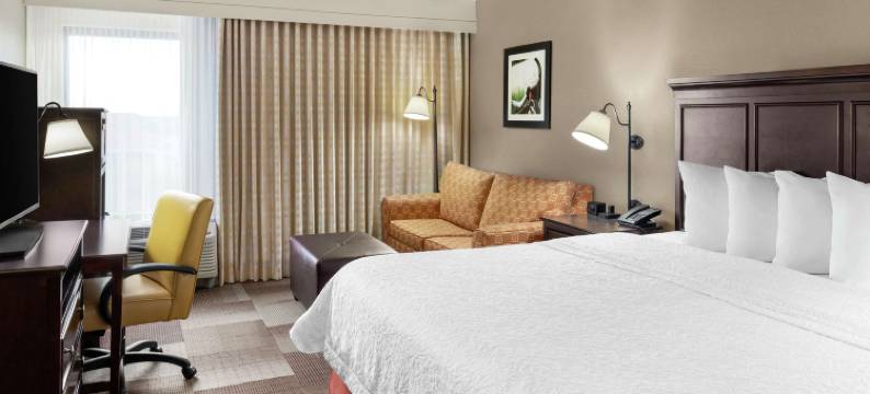 达拉斯欧文拉斯科琳娜欢朋酒店(Hampton Inn Dallas/Irving-Las Colinas)图片