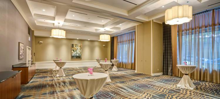 芝加哥市中心壮丽大道希尔顿花园酒店(Hilton Garden Inn Chicago Downtown/Magnificent Mile)图片