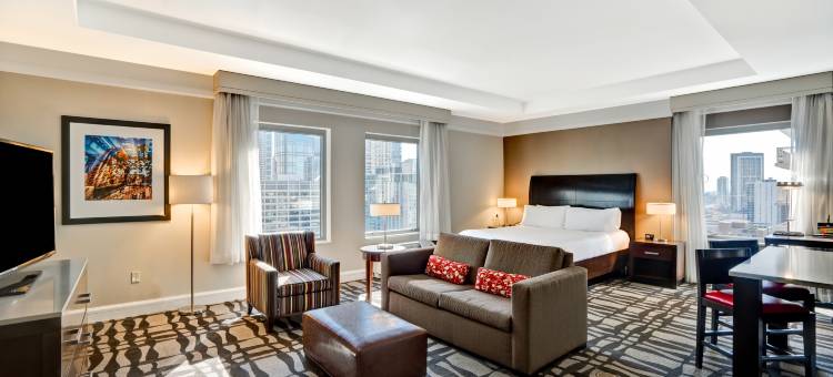 芝加哥市中心壮丽大道希尔顿花园酒店(Hilton Garden Inn Chicago Downtown/Magnificent Mile)图片