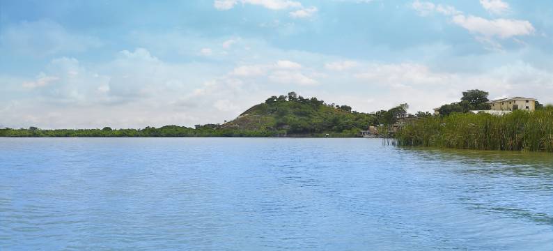 阿布贾希尔顿国际酒店(Transcorp Hilton Abuja)图片