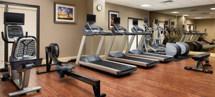 阿尔普哈雷塔智选假日酒店(Holiday Inn Express & Suites Alpharetta - Windward Parkway)图片