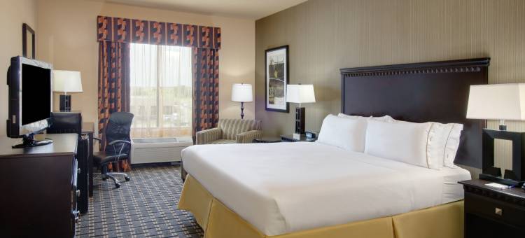 智选假日套房酒店恩尼斯 by IHG(Holiday Inn Express & Suites Ennis by IHG)图片