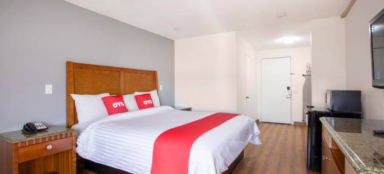帕姆代尔酒店 - 羚羊谷(Hotel Palmdale - Antelope Valley)图片