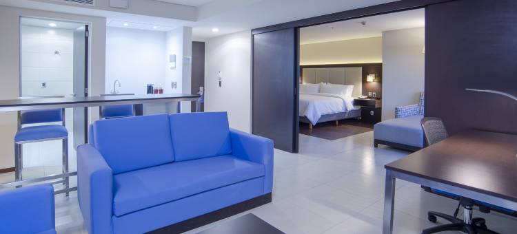 萨米尔广场智选假日酒店(Holiday Inn Express - Mexico Basilica)图片