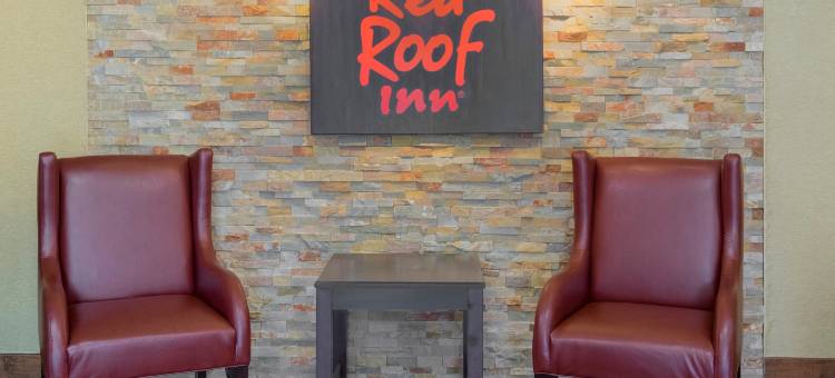 杰克逊维尔机场红顶酒店(Red Roof Inn Jacksonville Airport)图片