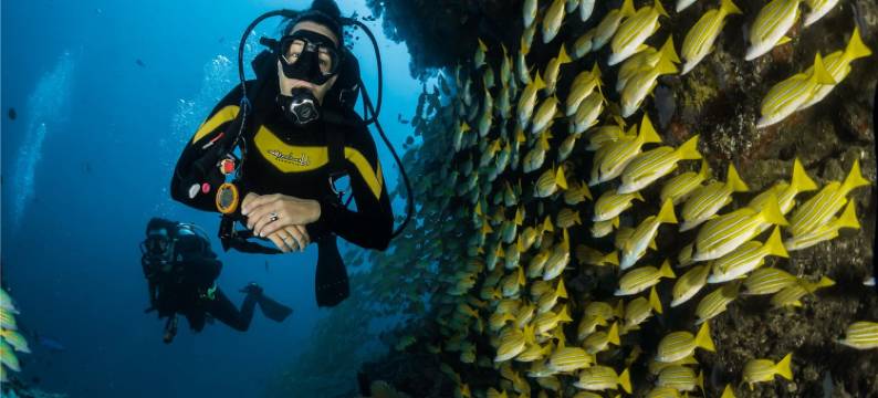 双月湾一线海景临海别墅图片
