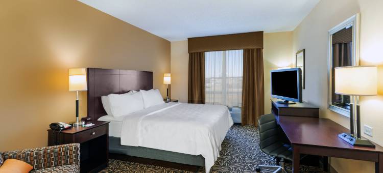 Holiday Inn 阿德莫尔 - 会议中心(Holiday Inn Ardmore I-35)图片