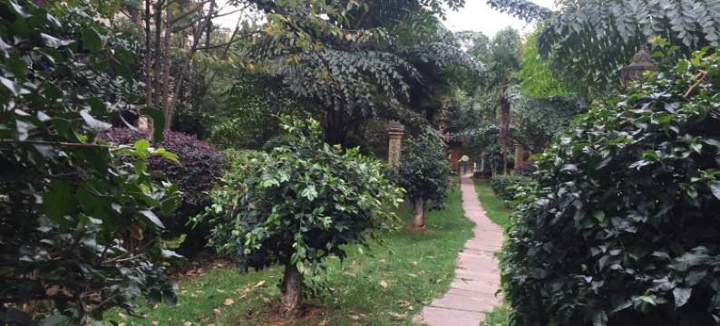 妍墨小姐公寓(尚义街1号分店)图片