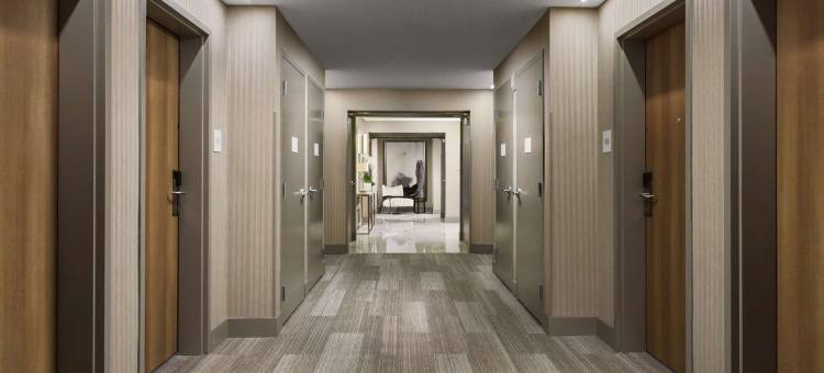 迈阿密港湾温德姆特莱普酒店(The Altair Hotel Bay Harbor Miami)图片