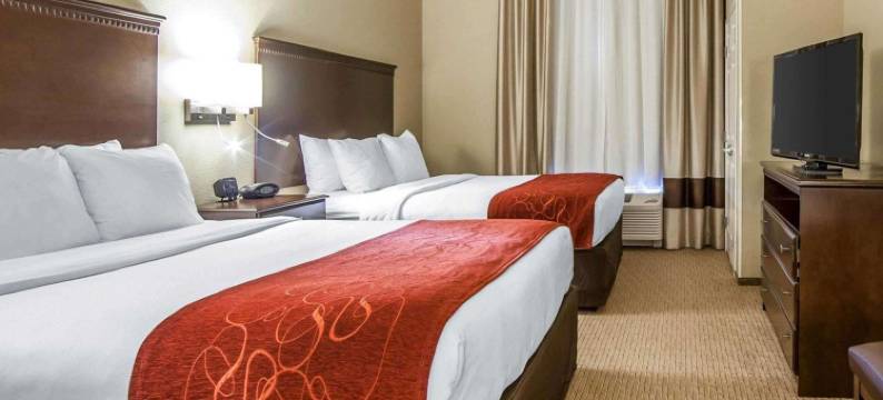 马利耶塔派克斯伯格市舒适套房酒店(Comfort Suites Marietta-Parkersburg)图片