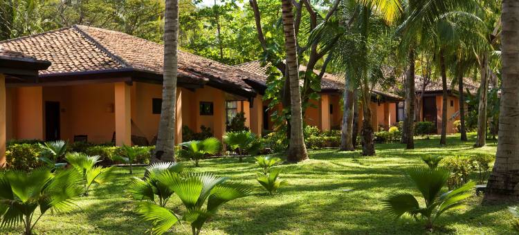 巴塞罗酒店-蒙特利马(Barceló Montelimar All Inclusive)图片