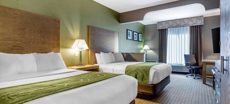 底特律绍斯盖特舒适套房(Comfort Suites Southgate-Detroit)图片