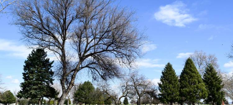 品质酒店-尤马蒂拉-赫米斯顿(Quality Inn Umatilla - Hermiston)图片