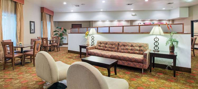 舒适套房酒店(Comfort Suites Leesville Near Fort Johnson)图片