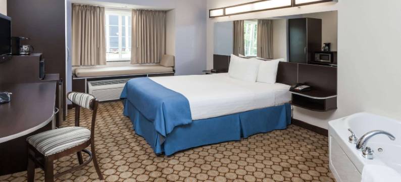 埃尔克哈特麦客达套房酒店(Microtel Inn & Suites by Wyndham Elkhart)图片