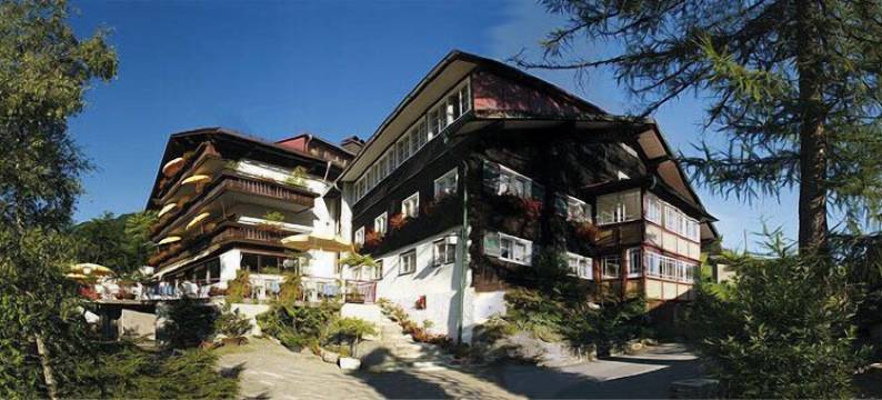 阿德勒酒店(Hotel Adler Garni)图片
