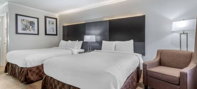 大学郊区开放式客房(Suburban Studios at the University)图片