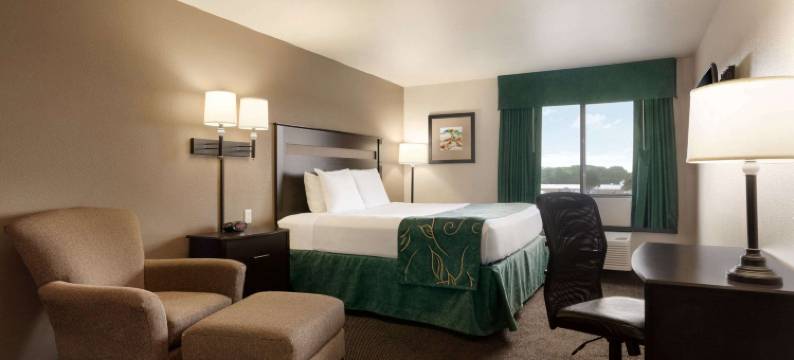 惠灵顿呗盟套房酒店(Baymont by Wyndham Wellington)图片