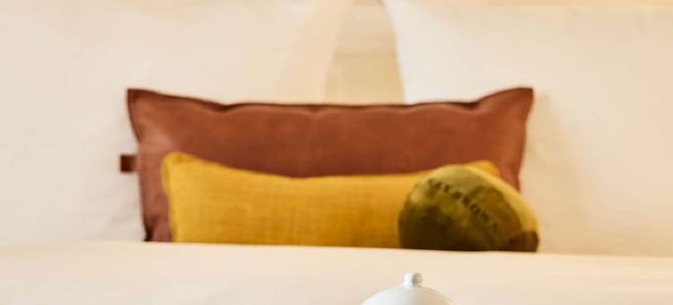 镇中心马克西布朗酒店(Max Brown Hotel Midtown, Part of Sircle Collection)图片