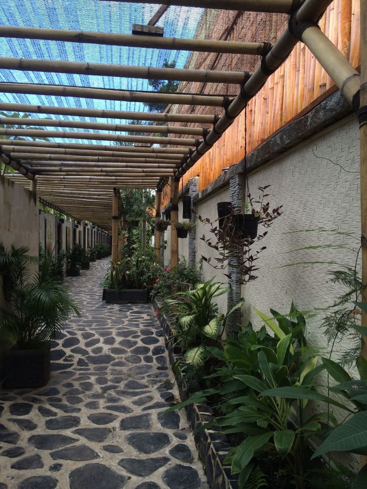 Scallywags ResortOver view