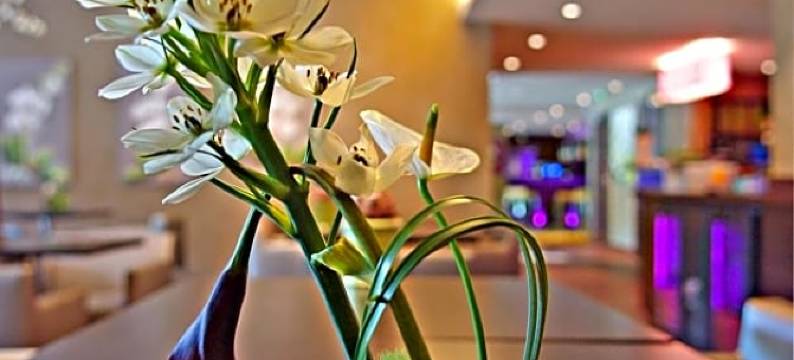 银行酒店(Hôtel les Rives)图片