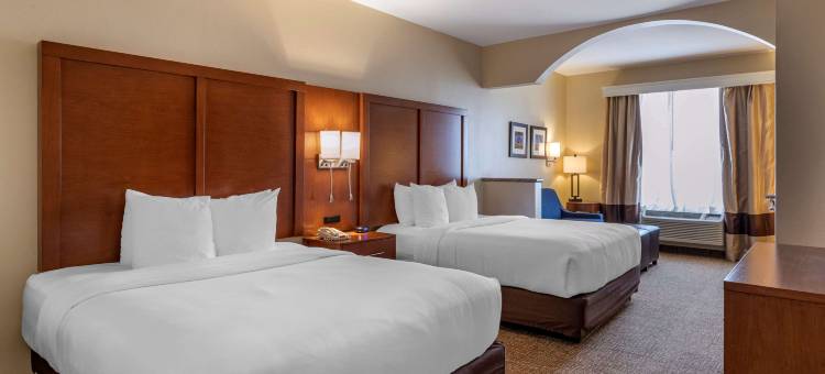 舒适套房酒店-近德克萨斯医学中心NRG体育场(Comfort Suites Near Texas Medical Center - NRG Stadium)图片