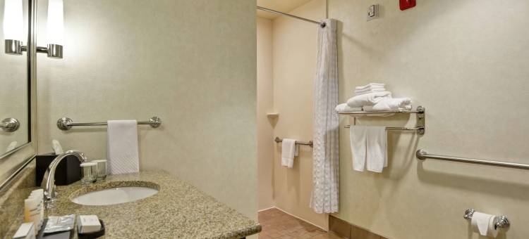 萨凡纳机场希尔顿安泊酒店(Embassy Suites by Hilton Savannah Airport)图片