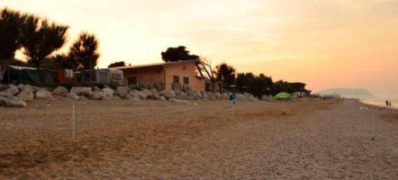 Camping la Pineta图片