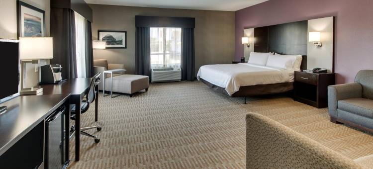Holiday Inn Express 奇克托瓦加(Holiday Inn Express CHEEKTOWAGA NORTH EAST by IHG)图片