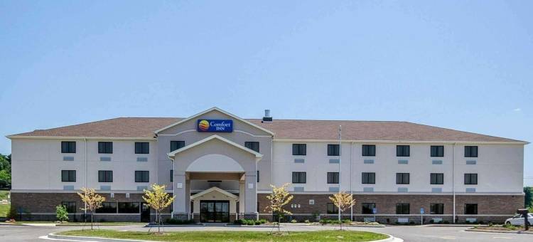 舒适酒店(Comfort Inn)图片