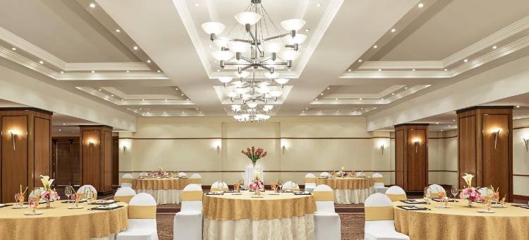 帕莫迪酒店(The Pamodzi Hotel)图片