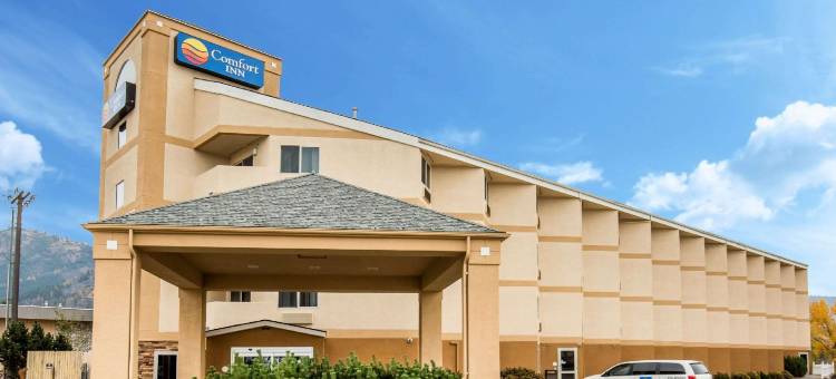 大学舒适酒店(Comfort Inn University)图片