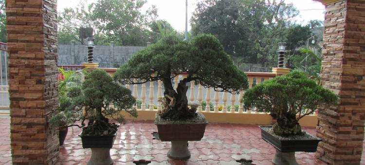 RJ Resorts图片