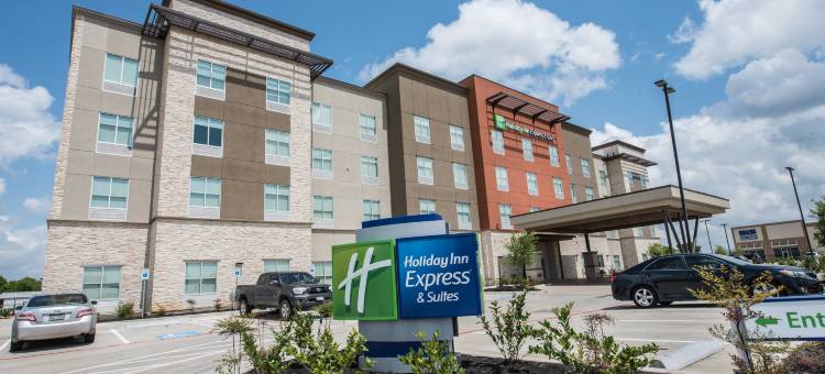 智选假日套房酒店休斯顿(Holiday Inn Express & Suites Houston - Hobby Airport Area)图片